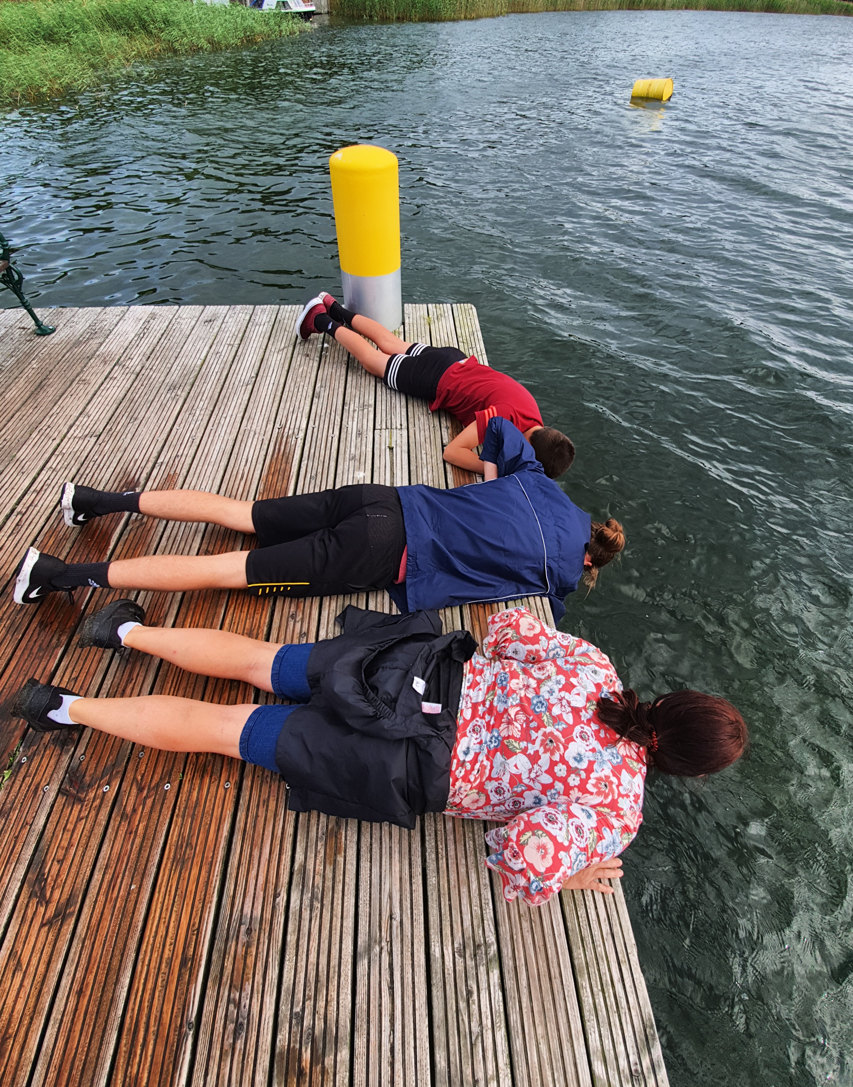Plattfische am See