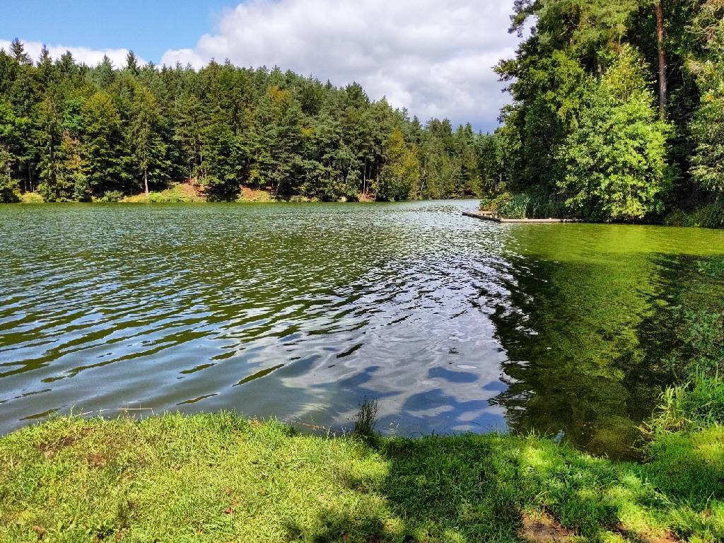 Der See von Eging am See
