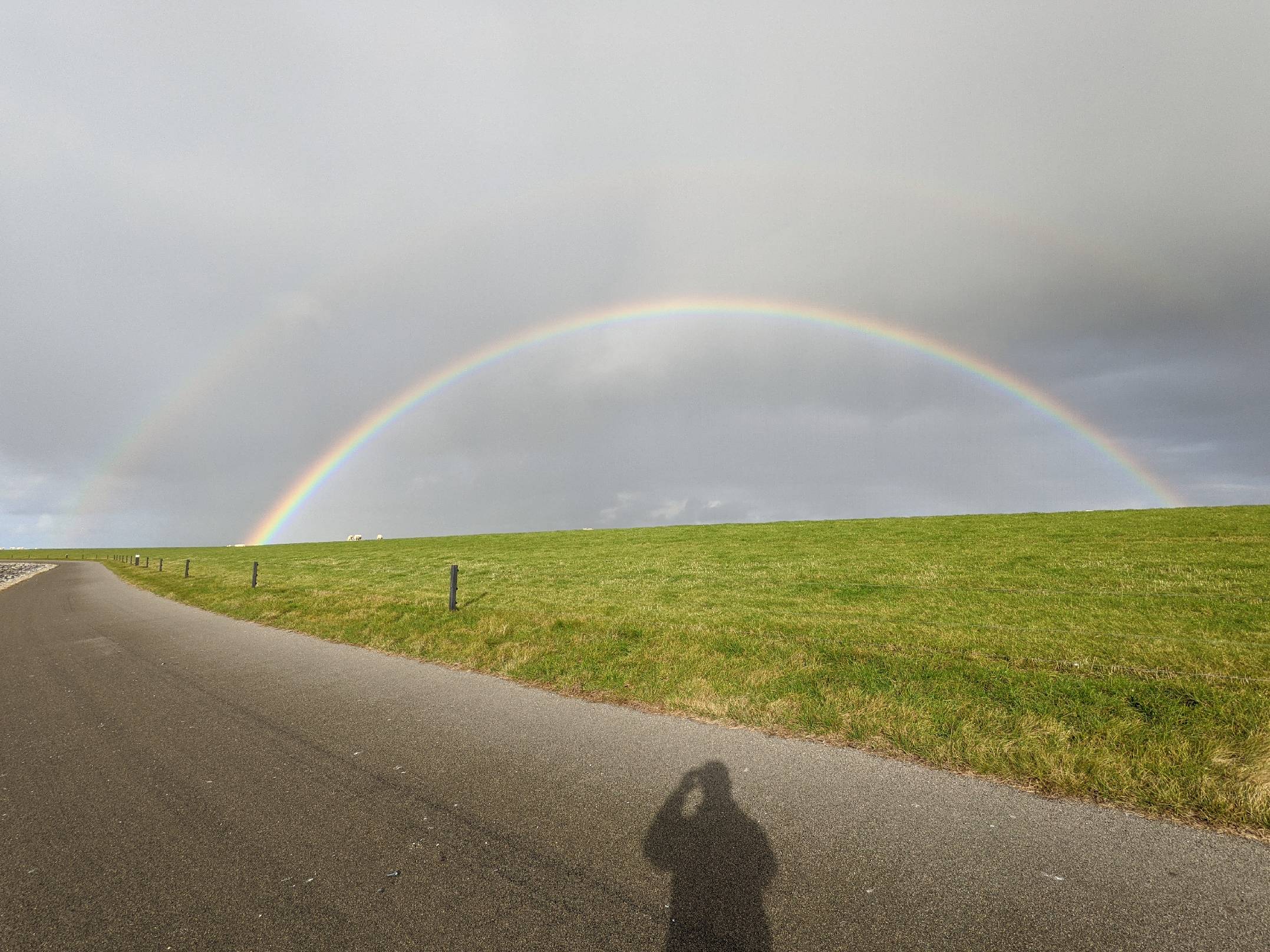 Regenbogen
