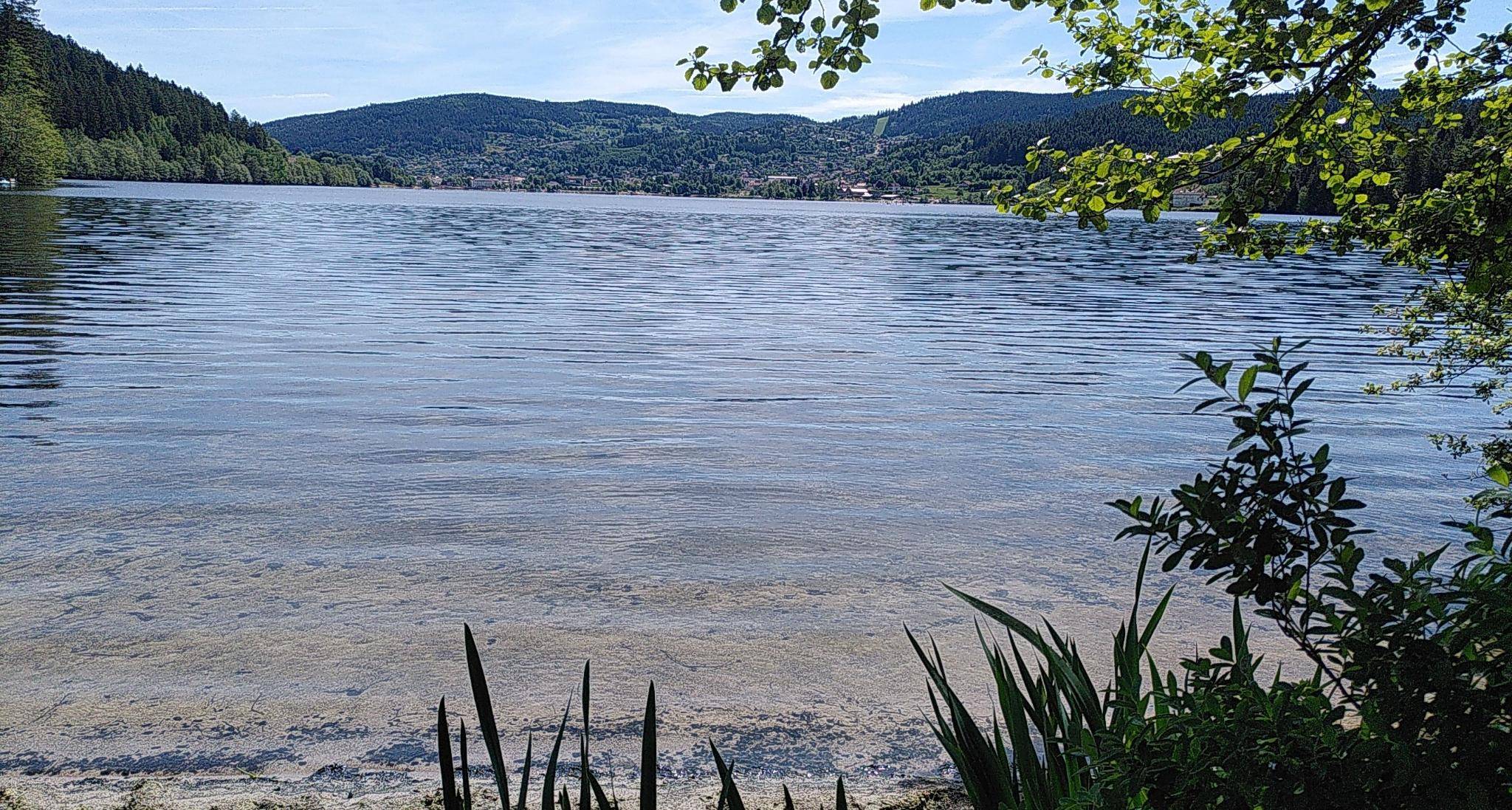 Gerdsee