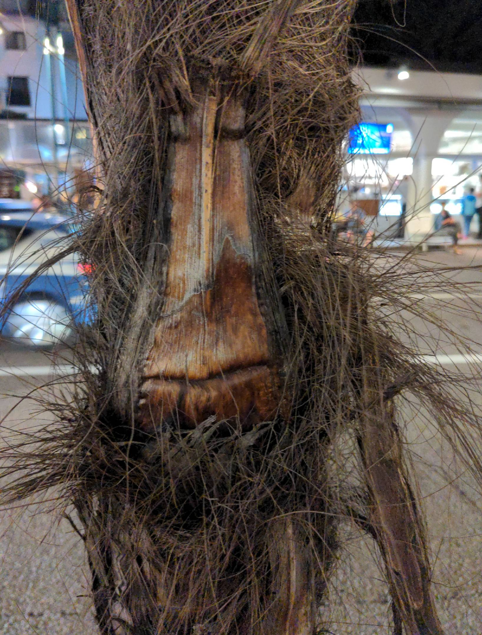 Palmface