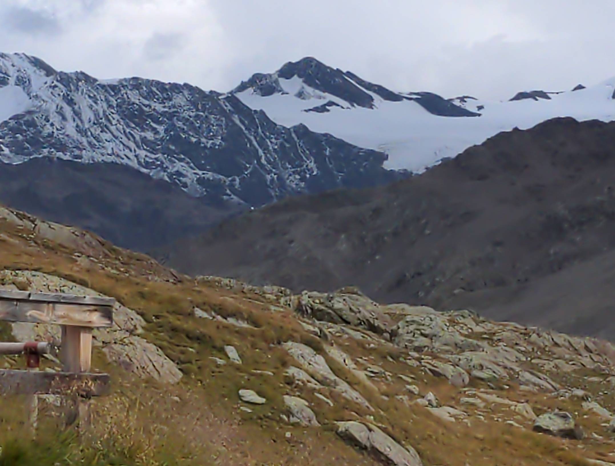 Gavia2