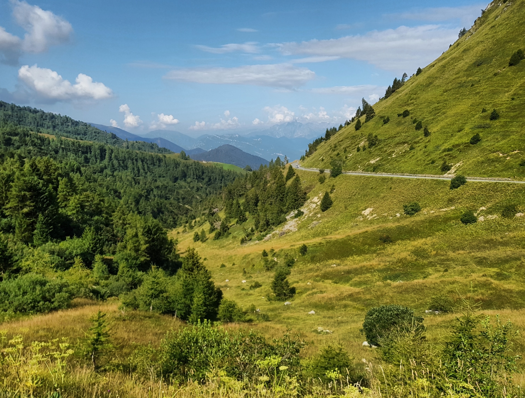 Natur